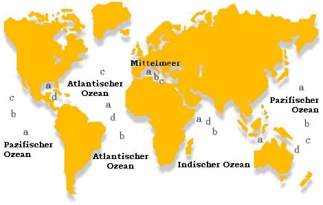 Weltkarte mit der Verbreitung von Weißem Hai, Blauhai, Hammerhai und Walhai in den Ozeanen