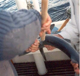 Der Blauhai wird im Boot getaggt